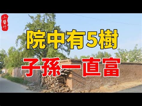 河南 信陽 桃花樹 風水